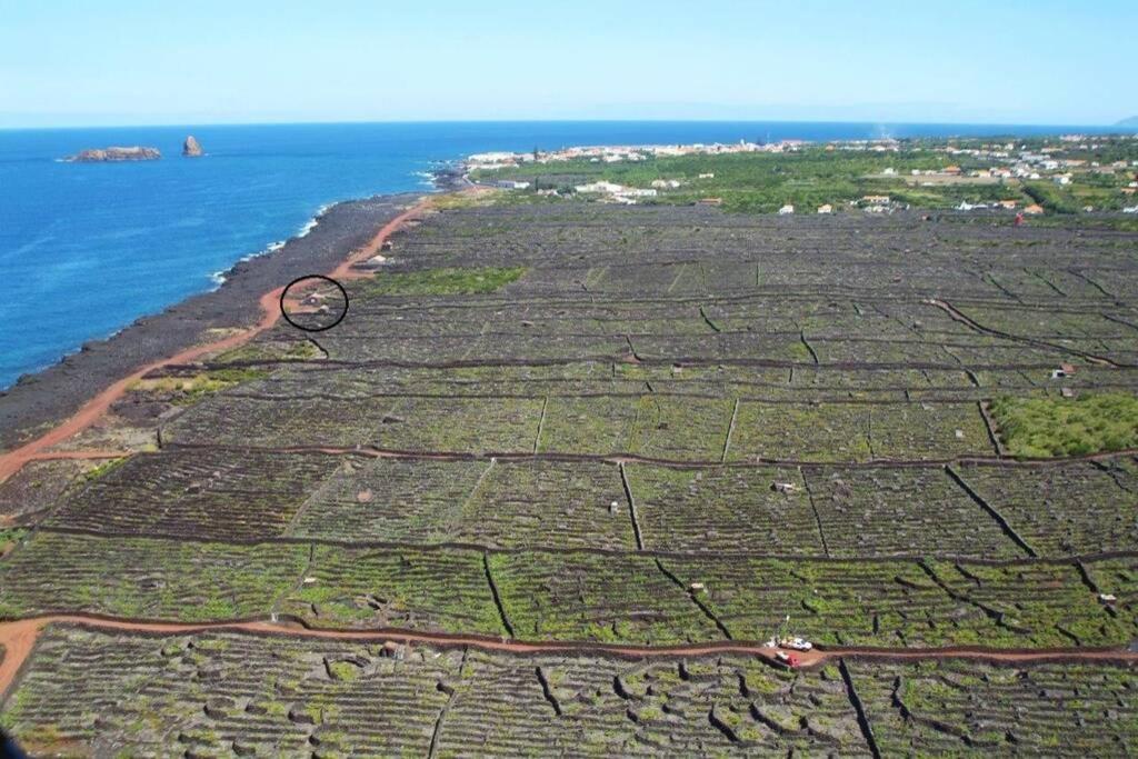 Ocean View In Unesco Heritage Site Criacao Velha Екстериор снимка